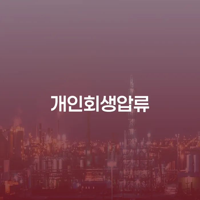 개인회생잘하는곳 채무조정제도을 이용하여 신청절차에