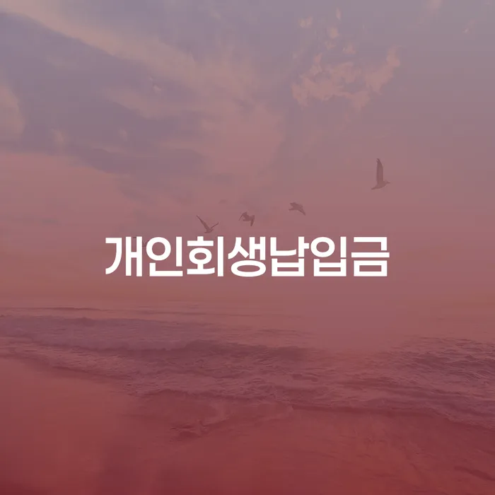 개인회생하면 신용회복 지금알아보기